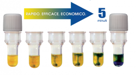 Test rapido su biopsia per la diagnosi veloce di Helicobacter Pylori - Blu Diagnostica srl